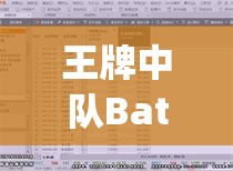 王牌中队BattleCopters动力属性深度解析，资源管理关键性及优化策略探讨