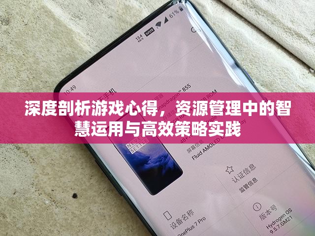 深度剖析游戏心得，资源管理中的智慧运用与高效策略实践