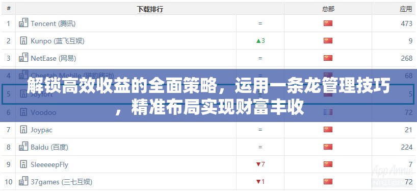 解锁高效收益的全面策略，运用一条龙管理技巧，精准布局实现财富丰收