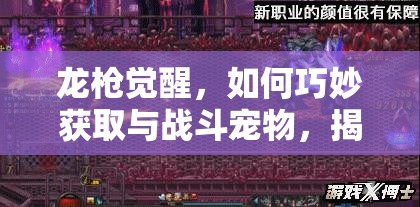 龙枪觉醒，如何巧妙获取与战斗宠物，揭秘资源管理的高深艺术？