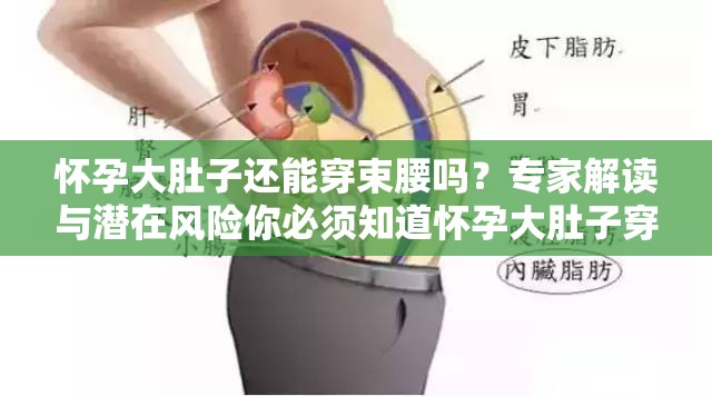 怀孕大肚子还能穿束腰吗？专家解读与潜在风险你必须知道怀孕大肚子穿束腰到底可行吗？孕妈们快来一探究竟怀孕大肚子时穿束腰，是好是坏？听听过来人的经验分享怀孕大肚子穿束腰：时尚与健康能否兼得？深度剖析等你来