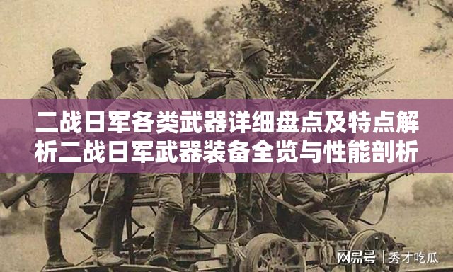 二战日军各类武器详细盘点及特点解析二战日军武器装备全览与性能剖析二战日军武器大揭秘：种类、特点与影响