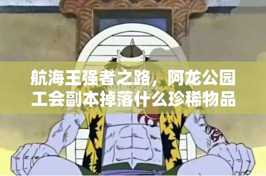 航海王强者之路，阿龙公园工会副本掉落什么珍稀物品？