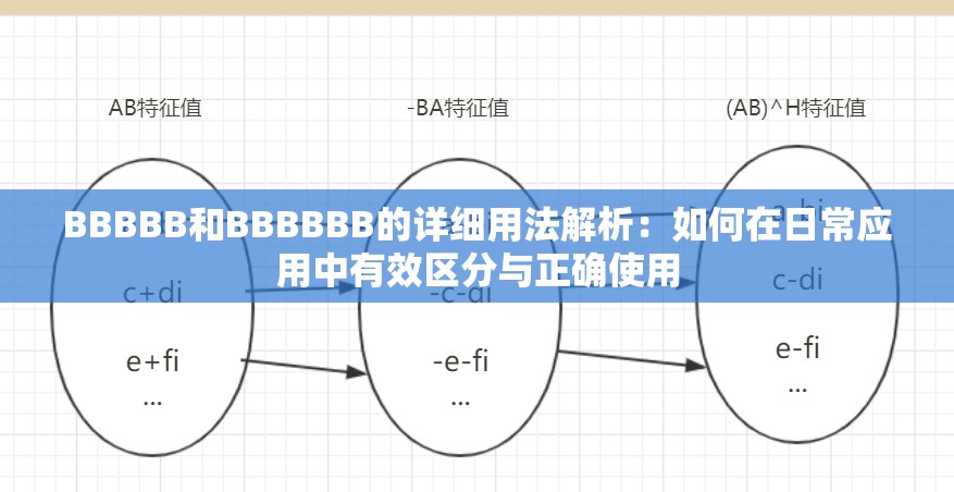 BBBBB和BBBBBB的详细用法解析：如何在日常应用中有效区分与正确使用