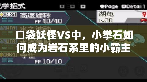 口袋妖怪VS中，小拳石如何成为岩石系里的小霸主，你了解吗？