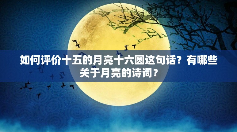 如何评价十五的月亮十六圆这句话？有哪些关于月亮的诗词？