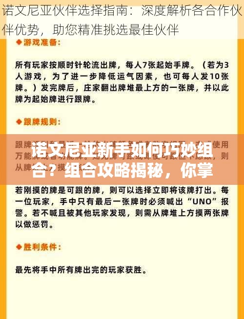 诺文尼亚新手如何巧妙组合？组合攻略揭秘，你掌握了吗？