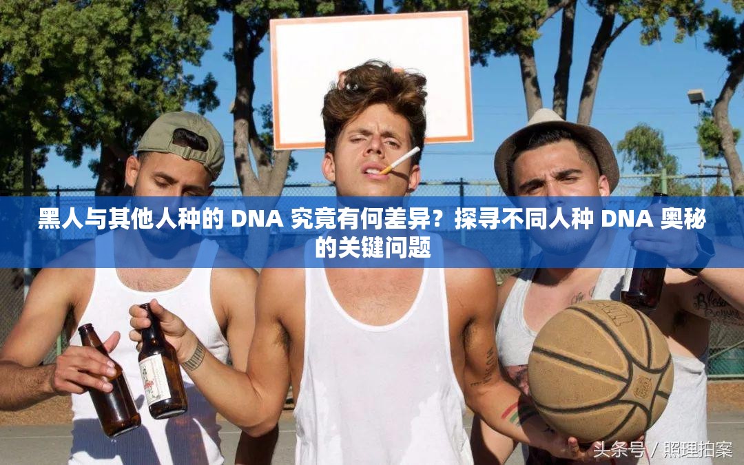 黑人与其他人种的 DNA 究竟有何差异？探寻不同人种 DNA 奥秘的关键问题