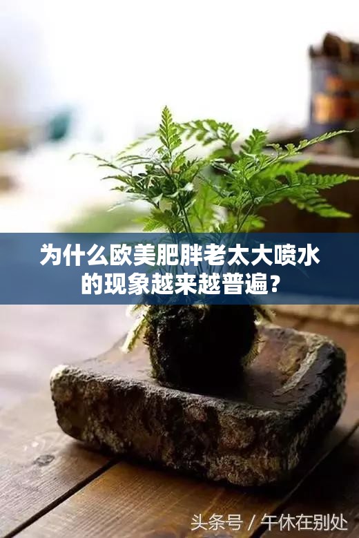 为什么欧美肥胖老太大喷水的现象越来越普遍？