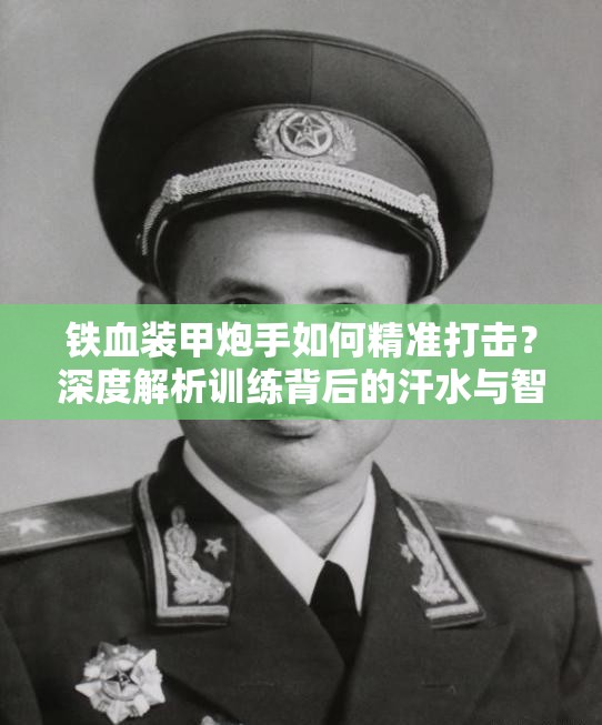 铁血装甲炮手如何精准打击？深度解析训练背后的汗水与智慧