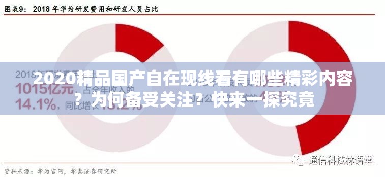 2020精品国产自在现线看有哪些精彩内容？为何备受关注？快来一探究竟