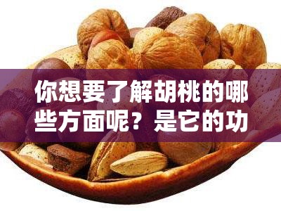 你想要了解胡桃的哪些方面呢？是它的功效、主治作用，还是其他信息呢？