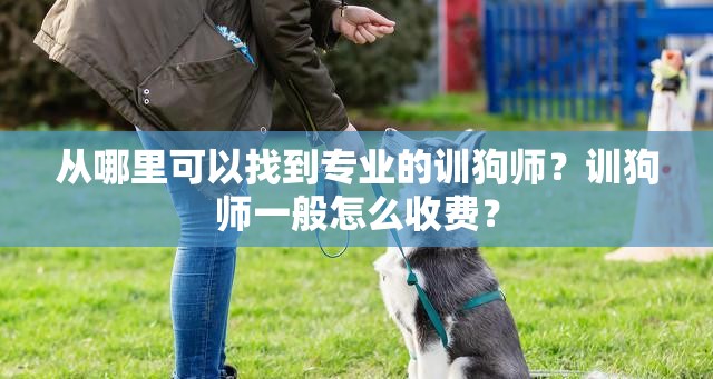 从哪里可以找到专业的训狗师？训狗师一般怎么收费？