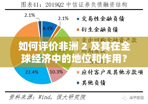 如何评价非洲 2 及其在全球经济中的地位和作用？