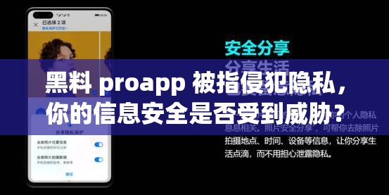 黑料 proapp 被指侵犯隐私，你的信息安全是否受到威胁？