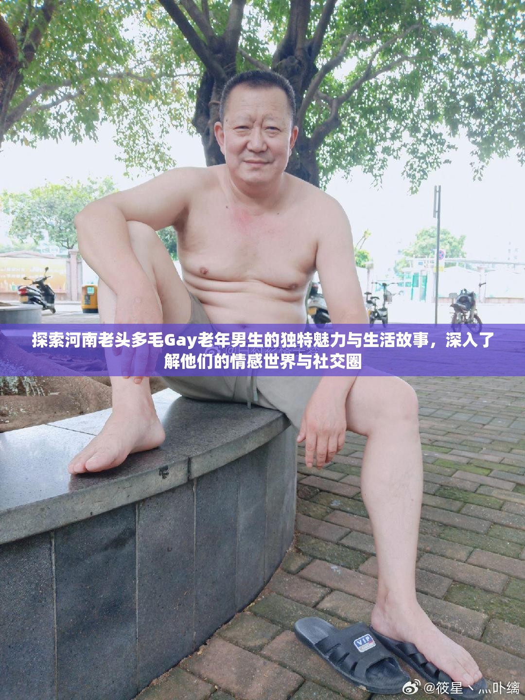 探索河南老头多毛Gay老年男生的独特魅力与生活故事，深入了解他们的情感世界与社交圈