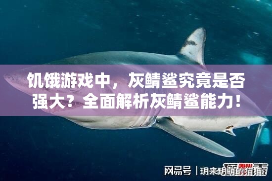 饥饿游戏中，灰鲭鲨究竟是否强大？全面解析灰鲭鲨能力！