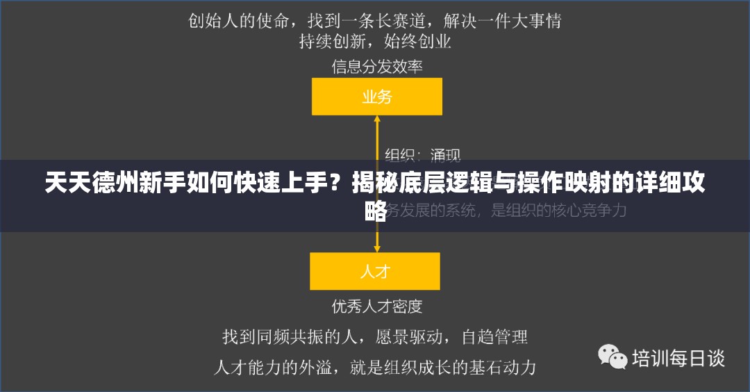 天天德州新手如何快速上手？揭秘底层逻辑与操作映射的详细攻略