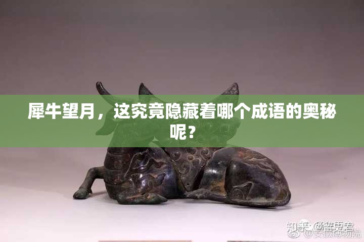 犀牛望月，这究竟隐藏着哪个成语的奥秘呢？