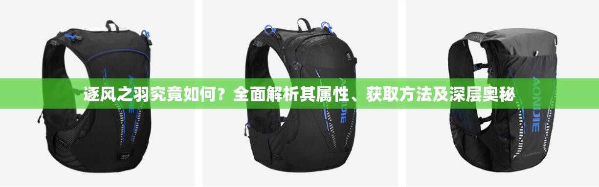 逐风之羽究竟如何？全面解析其属性、获取方法及深层奥秘