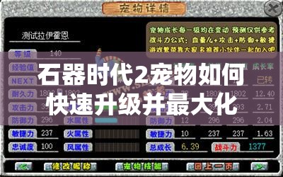 石器时代2宠物如何快速升级并最大化提升实力？