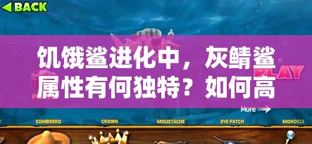 饥饿鲨进化中，灰鲭鲨属性有何独特？如何高效管理其资源？