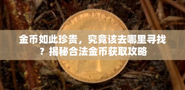 金币如此珍贵，究竟该去哪里寻找？揭秘合法金币获取攻略